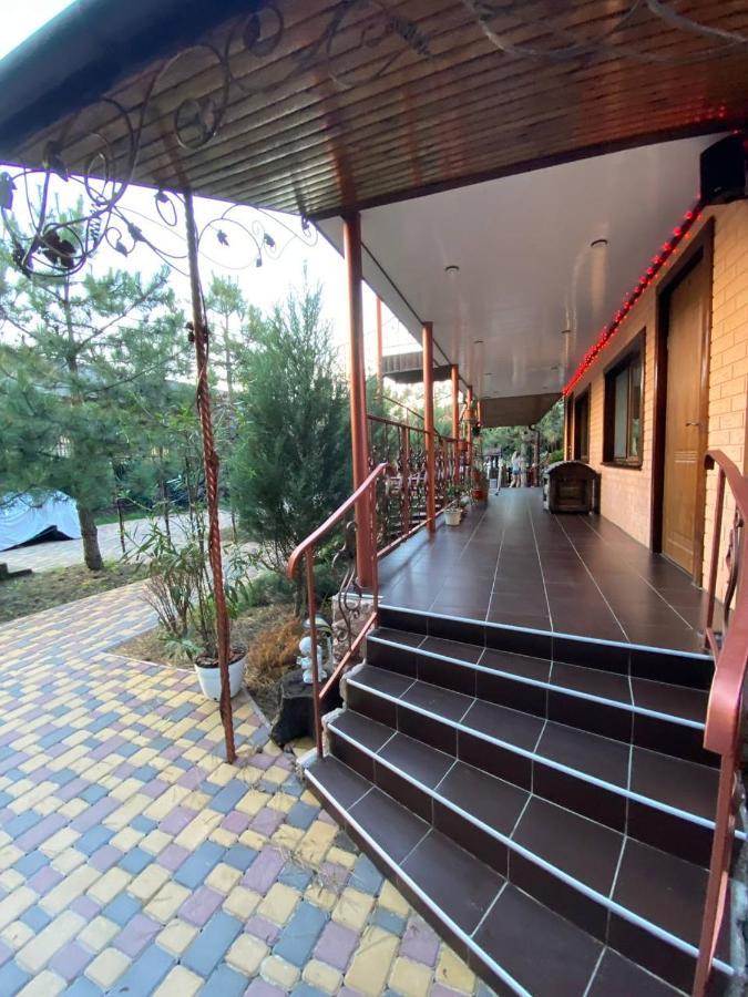 Villa Sosnovy Bor زاتوكا المظهر الخارجي الصورة