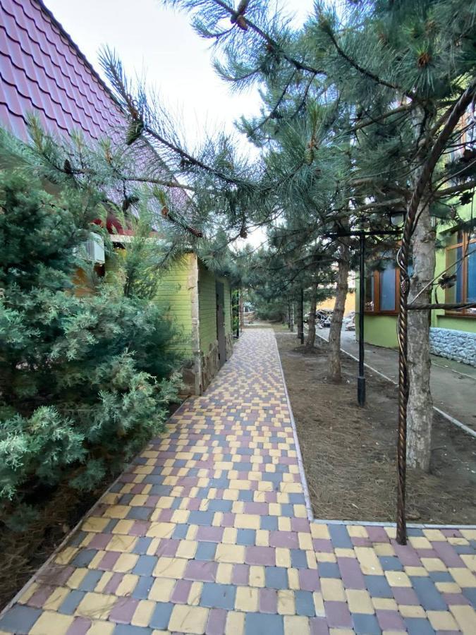 Villa Sosnovy Bor زاتوكا المظهر الخارجي الصورة