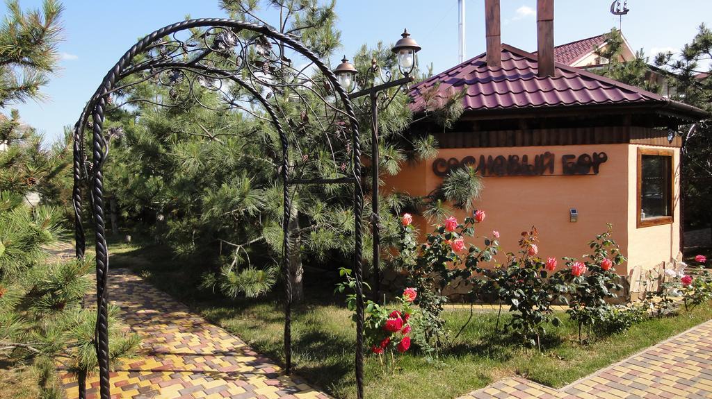 Villa Sosnovy Bor زاتوكا المظهر الخارجي الصورة