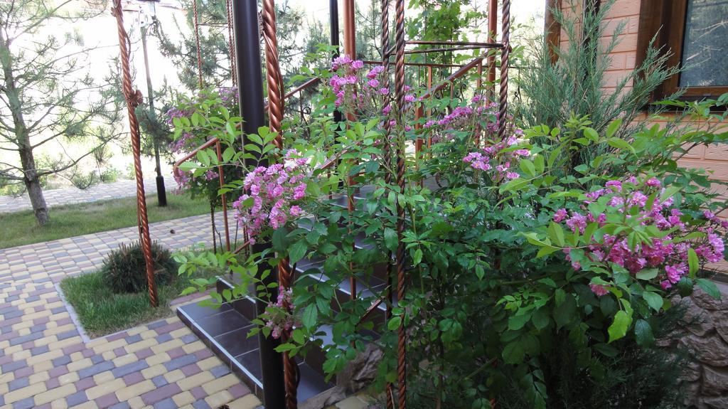Villa Sosnovy Bor زاتوكا المظهر الخارجي الصورة