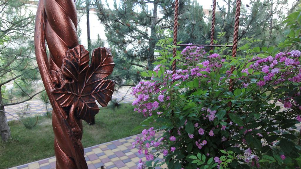 Villa Sosnovy Bor زاتوكا المظهر الخارجي الصورة
