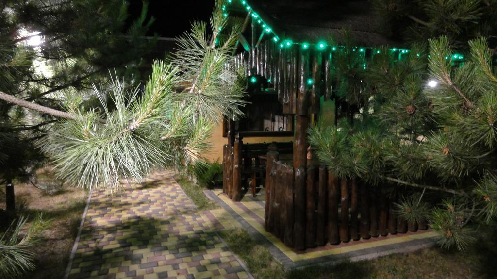 Villa Sosnovy Bor زاتوكا المظهر الخارجي الصورة