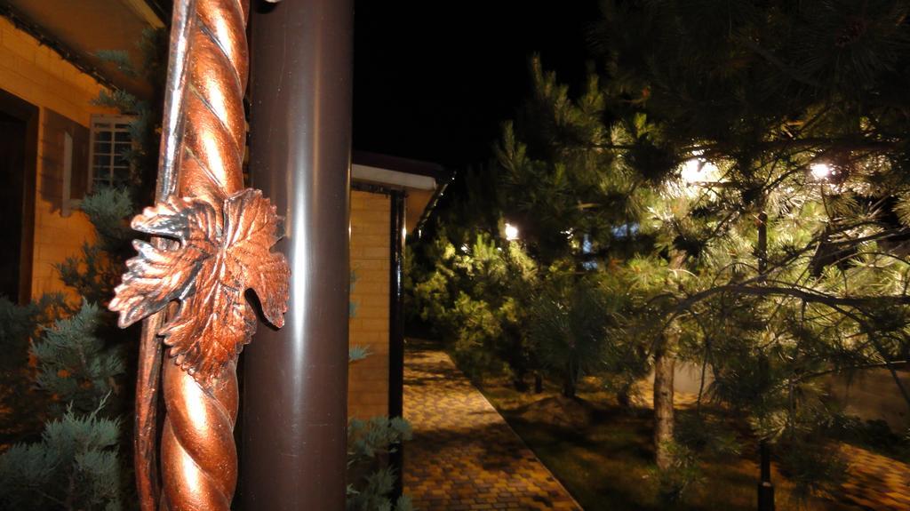 Villa Sosnovy Bor زاتوكا المظهر الخارجي الصورة